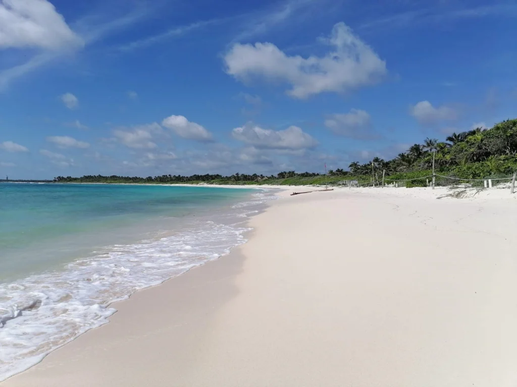 Beautiful white sand beach without sargassum