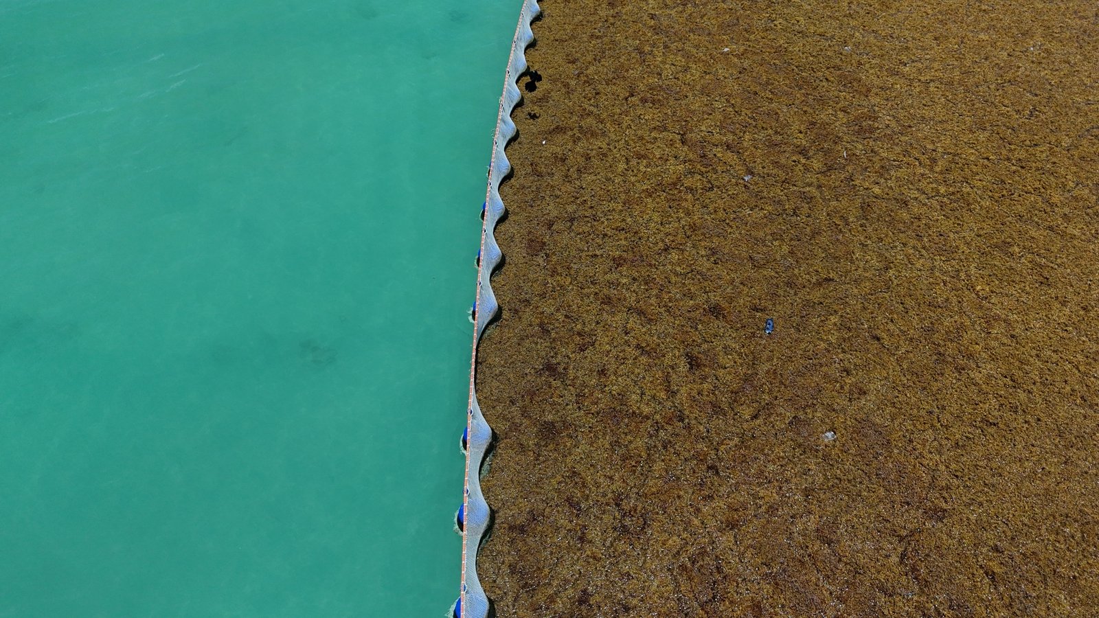 default Choosing our booms is one of the right sargassum solutions