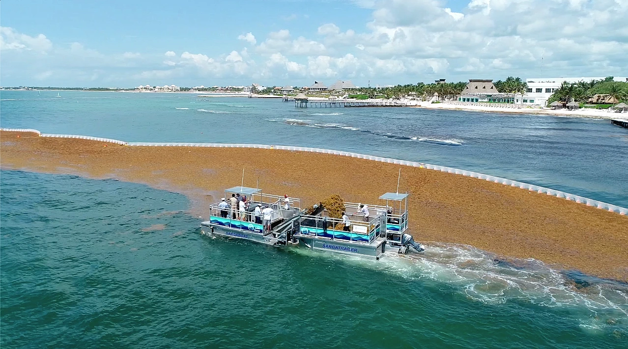 Sargaboat-Sargatrailer-solutions-Sargassum-Defense-Consulting SargaBoat collecting sargassum along Floating Booms - Sargassum Defense Consulting