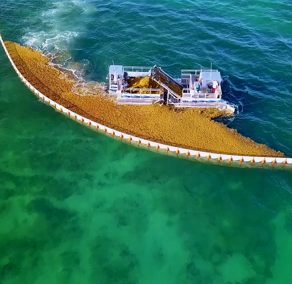 Sargassum-solutions-by-Sargassum-Defense-Consulting Sargassum solutions by Sargassum Defense Consulting