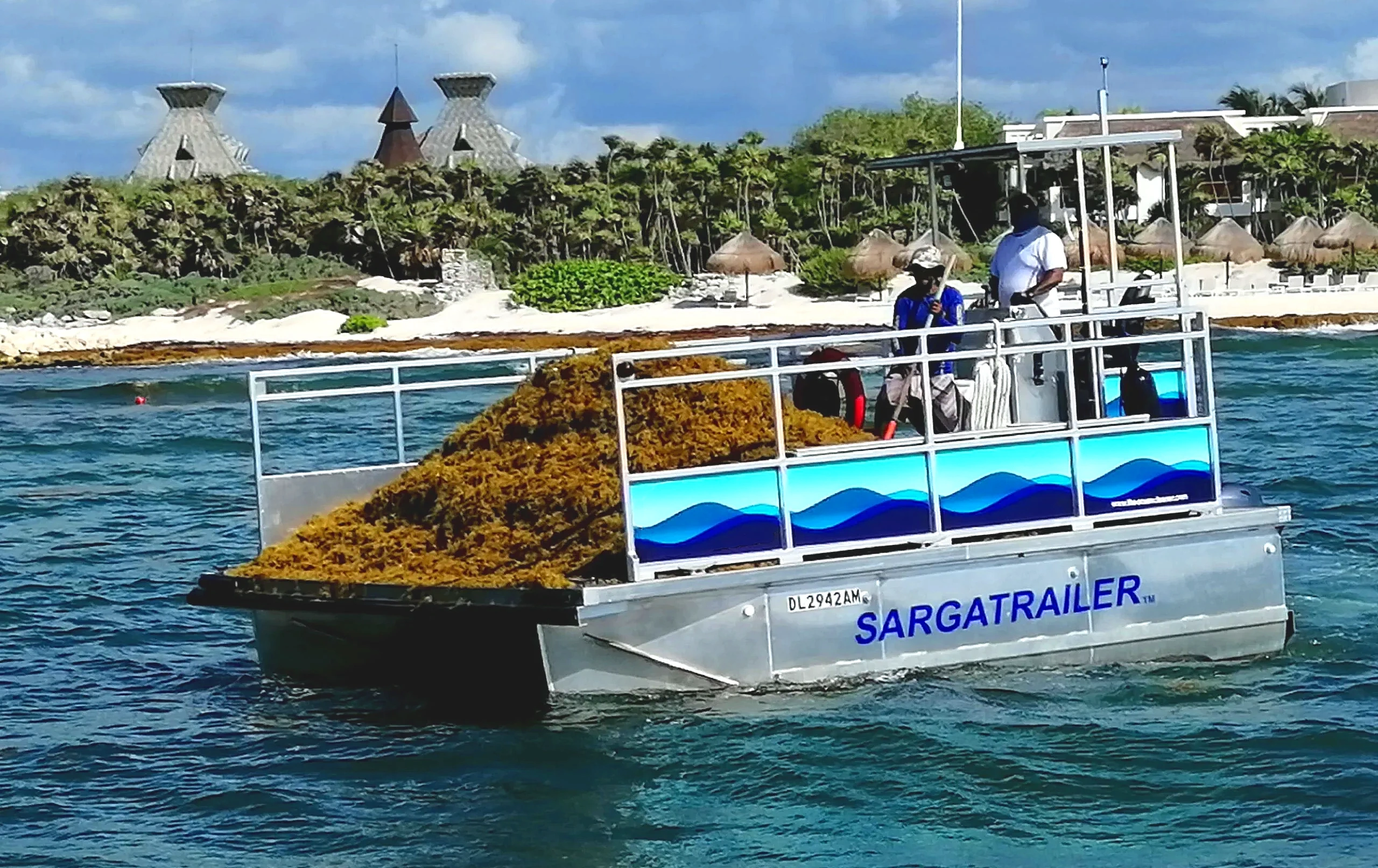 Sargatrailer-Sargassum-Defense-Consulting1 Sargatrailer loaded with sargassum by Sargassum Defense Consulting