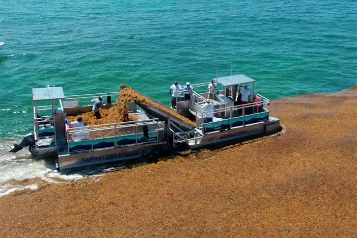 SargaBoat Sargassum collect
